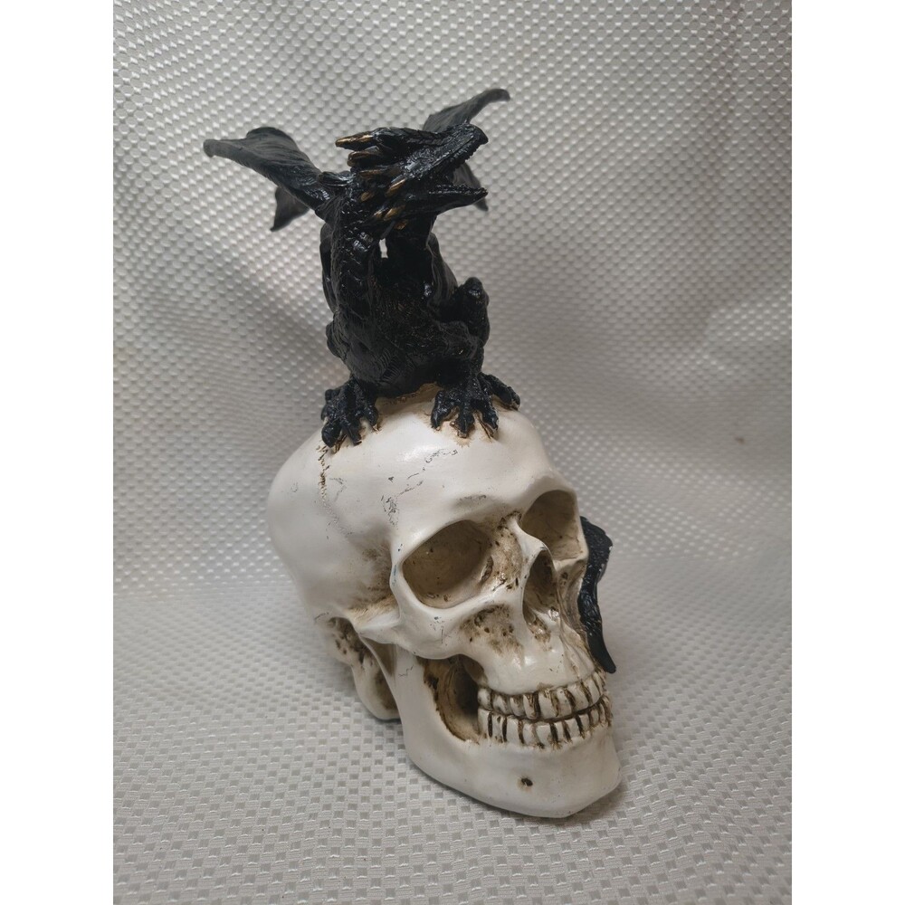 Halloween Gothic Black Dragon on Skull Statue 10" Spooky Fantasy Decor Prop